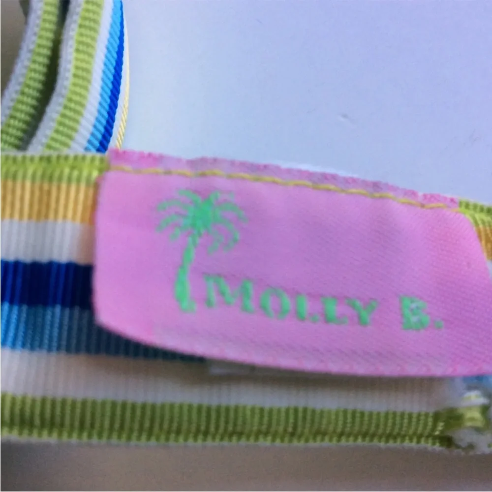 Molly B. D Ring Striped Ribbon Belt Green Yellow and Blue Youth M/L